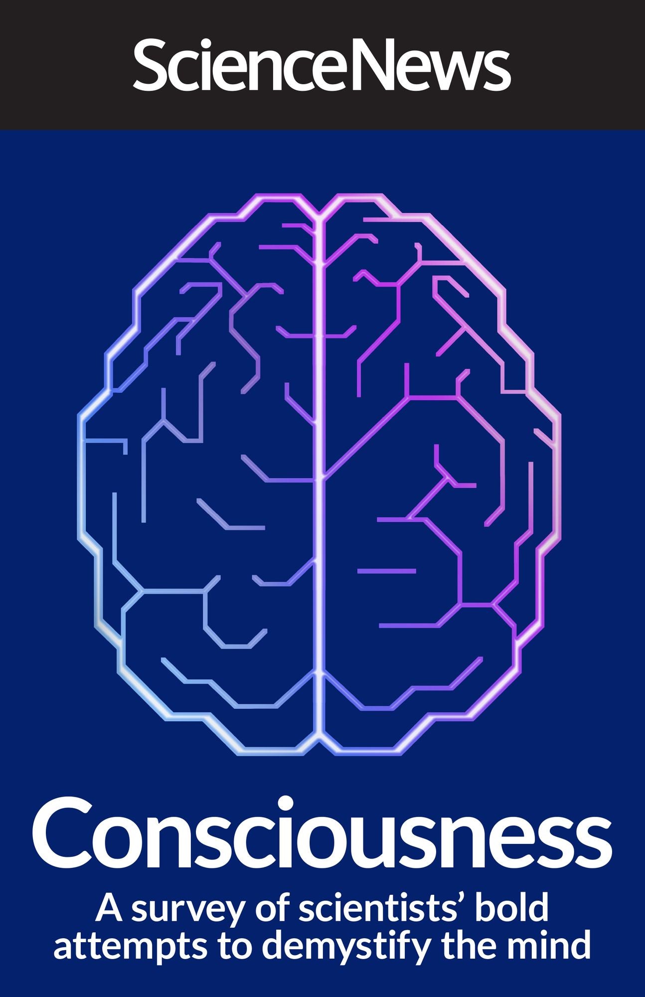 Consciousness: A Survey of Scientists' Bold Attempts to Demystify the Mind
