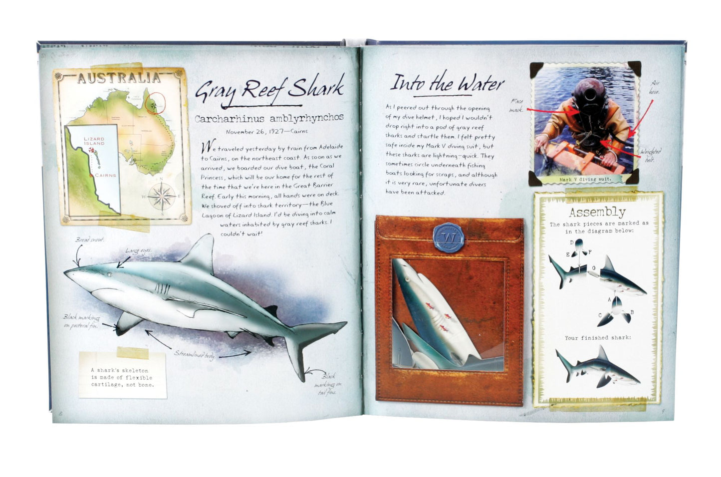 The Field Guide to Ocean Animals