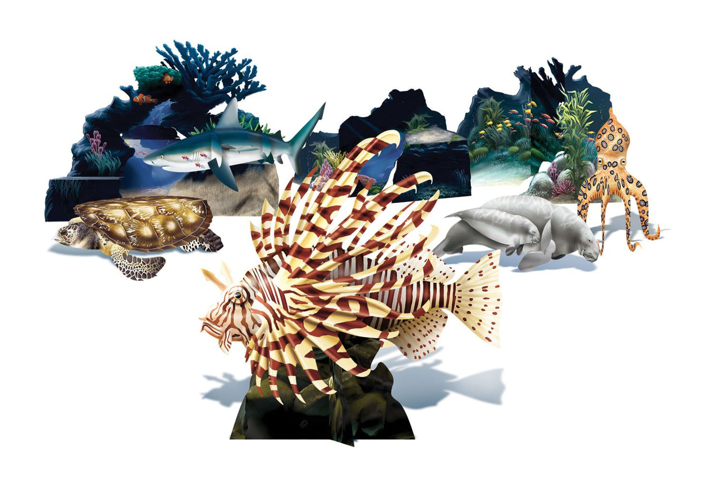 The Field Guide to Ocean Animals