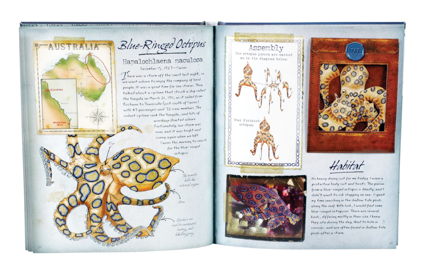 The Field Guide to Ocean Animals