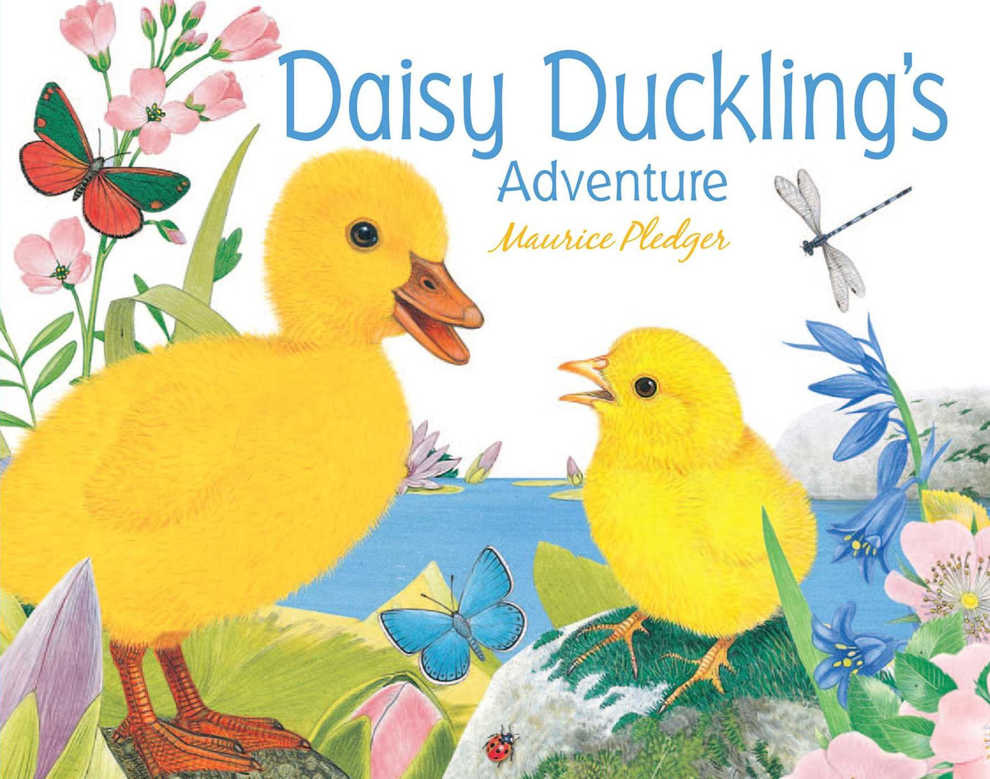 Daisy Duckling's Adventure