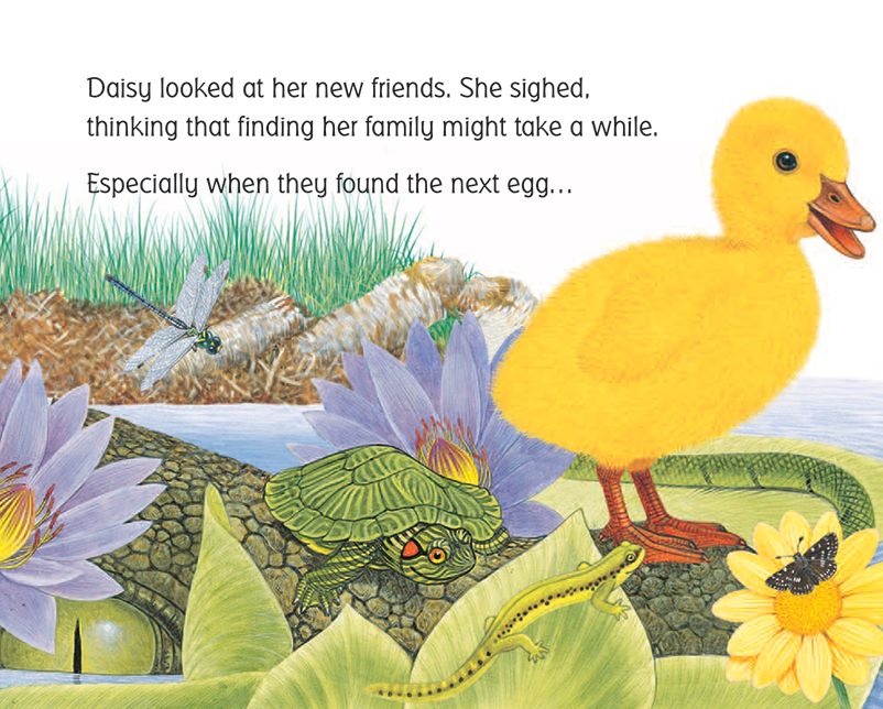 Daisy Duckling's Adventure