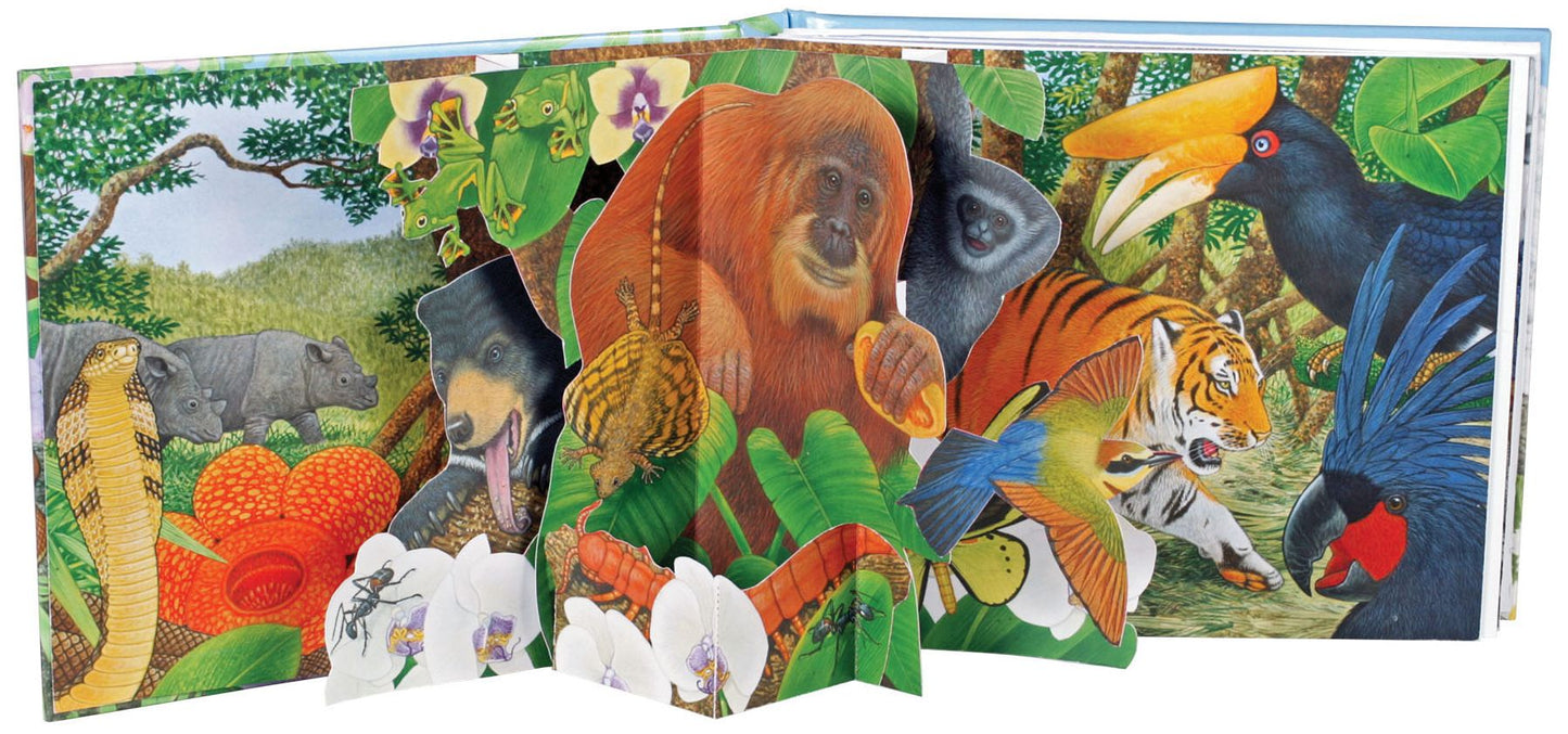 Animals (Sounds of the Wild Series)