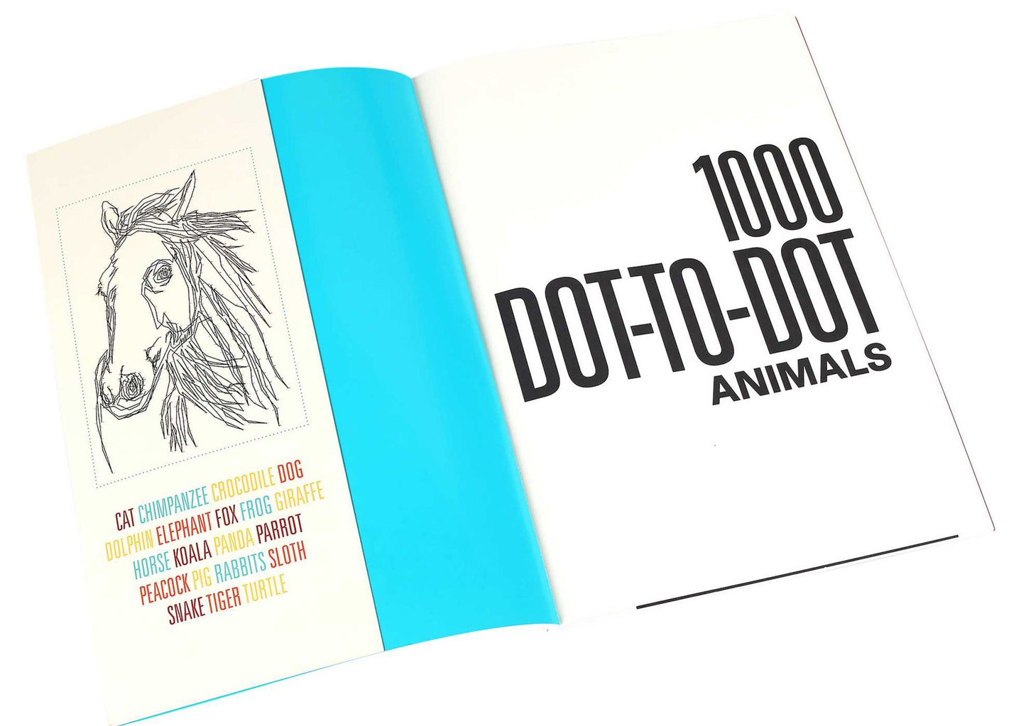 1000 Dot-to-Dot: Animals