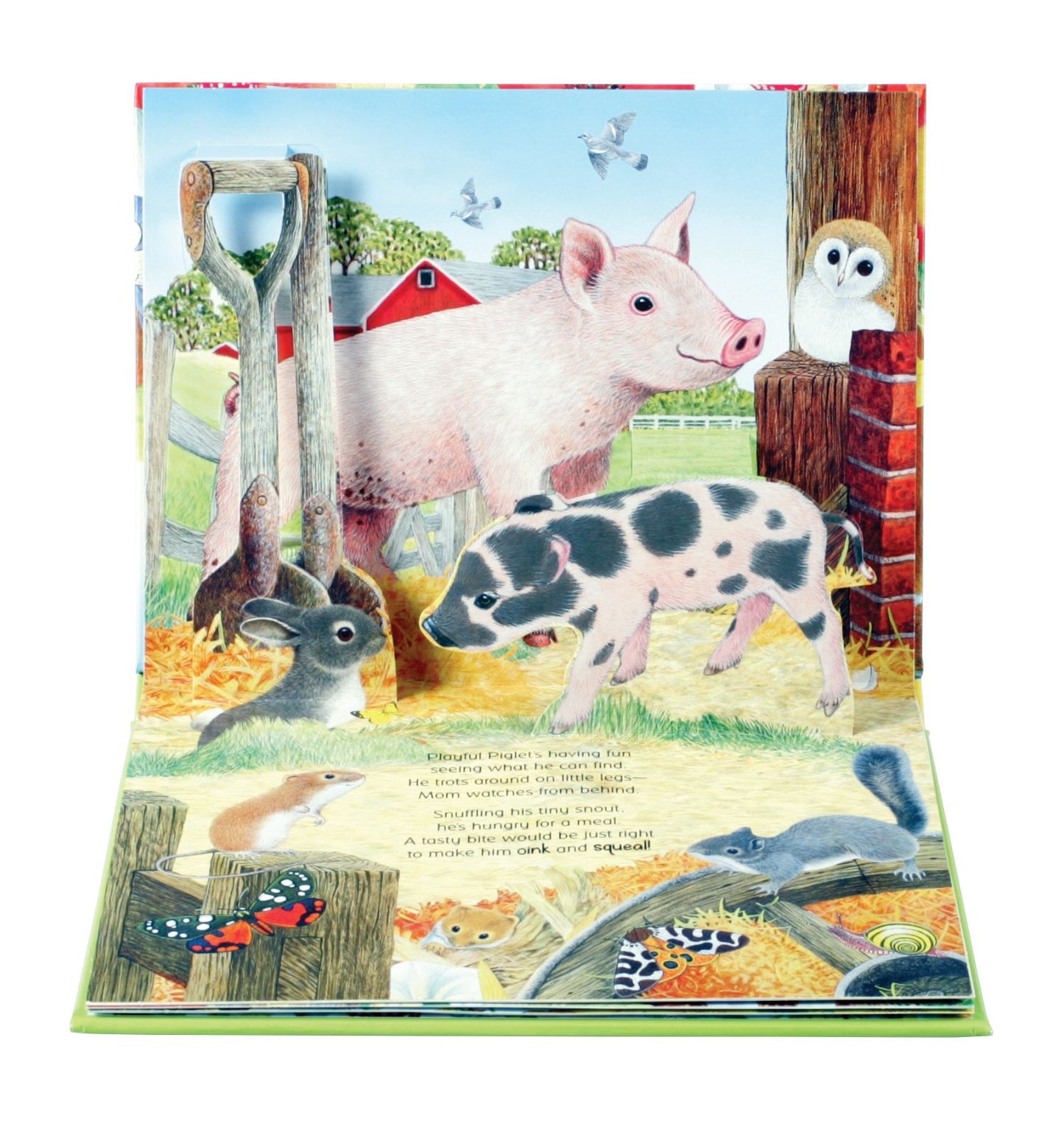 Noisy Nature: On the Farm