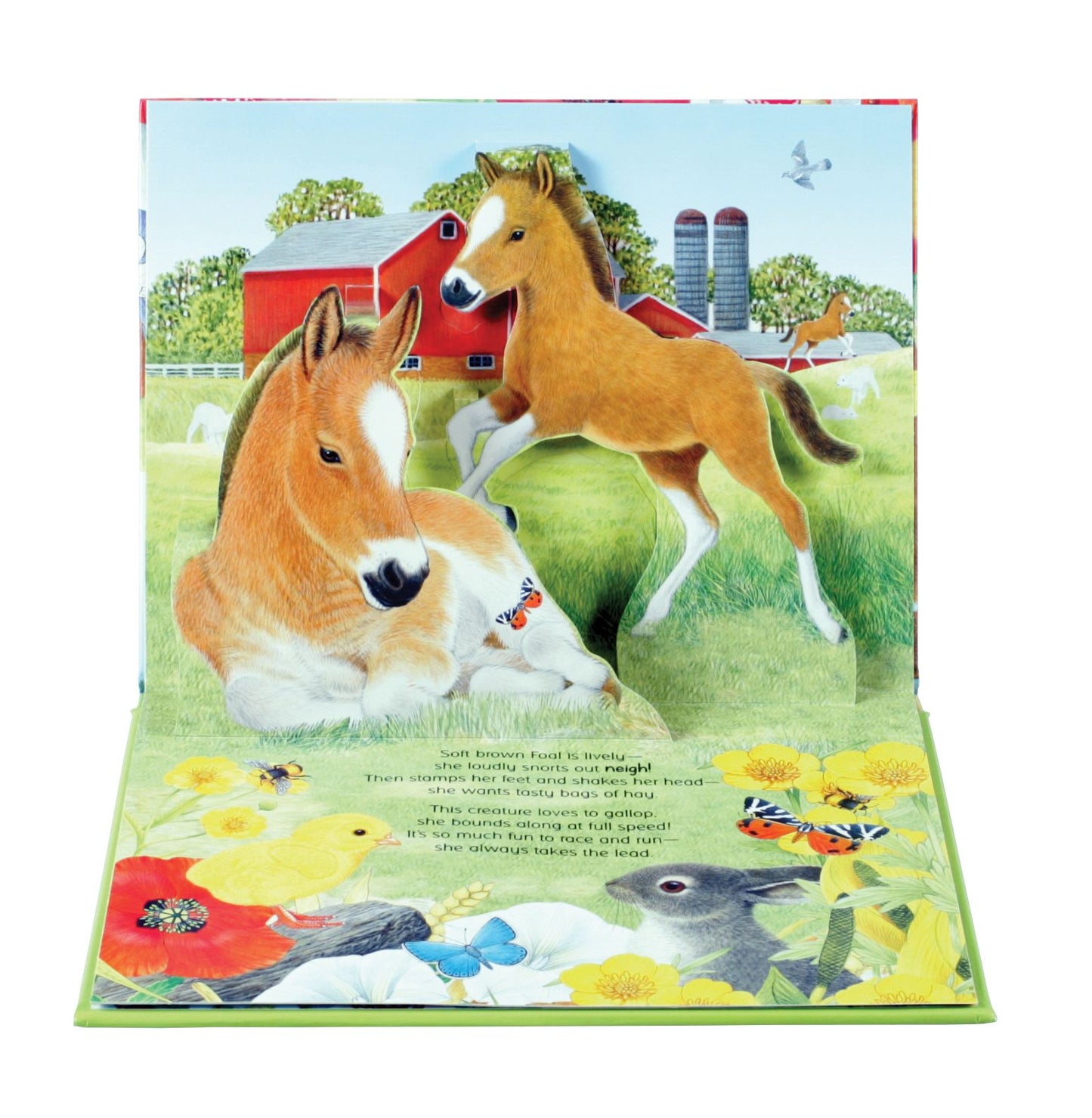 Noisy Nature: On the Farm