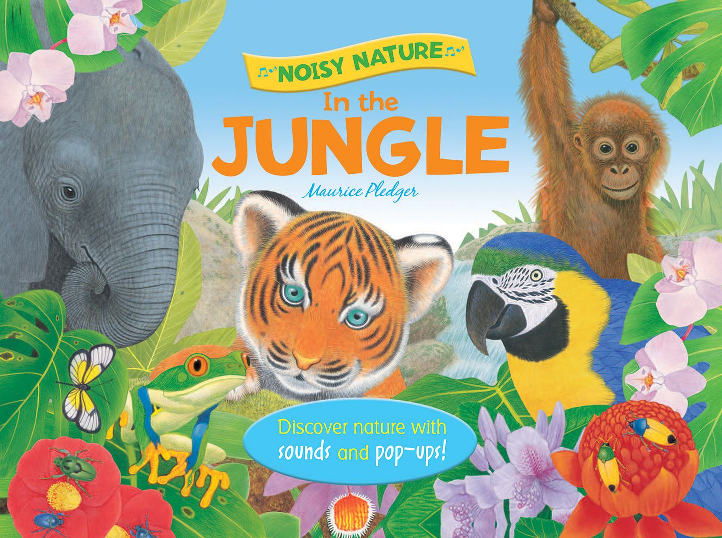 Noisy Nature: In the Jungle