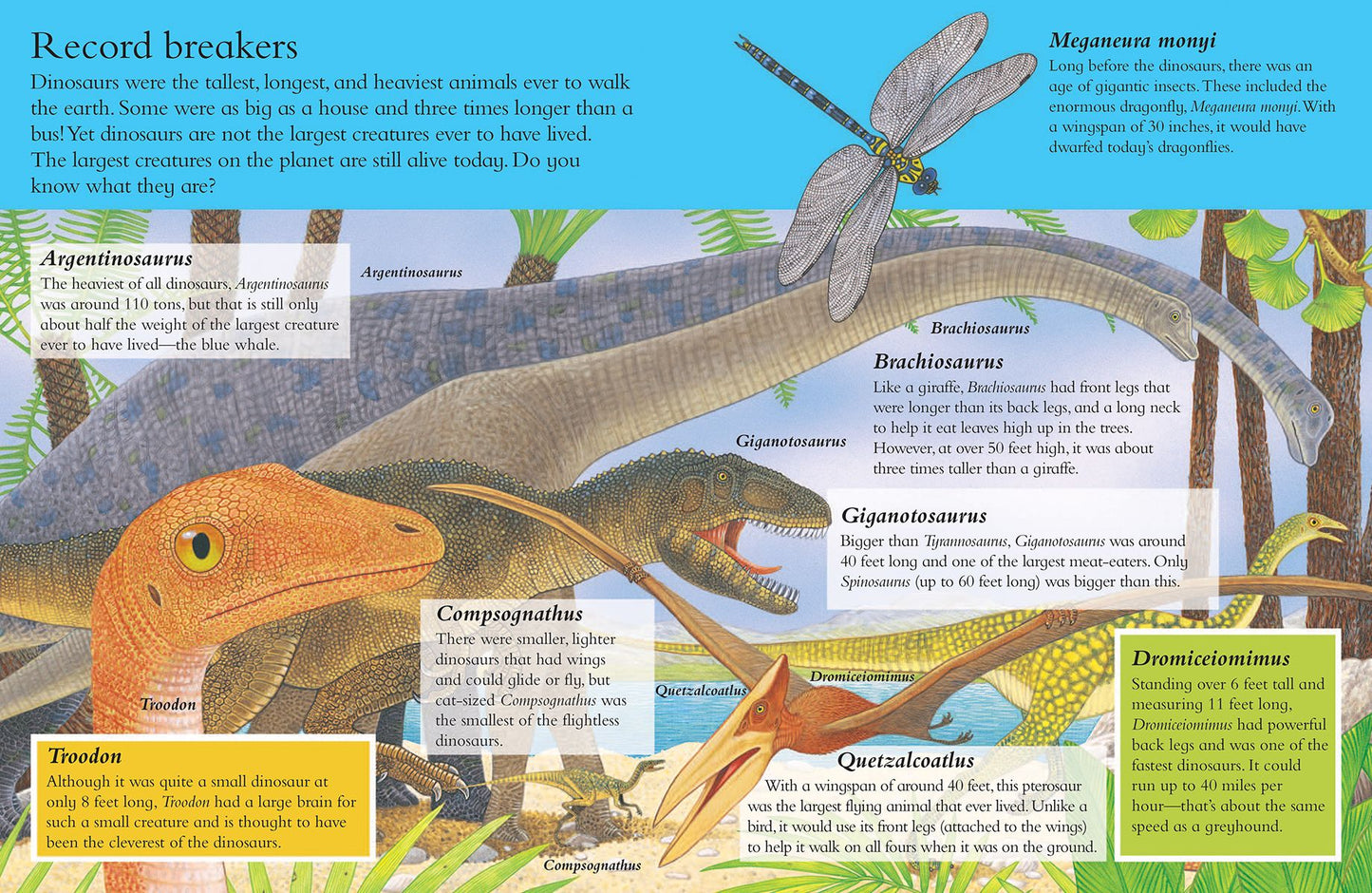 Animal Kingdom Sticker Activity Book: Dinosaurs and Bugs