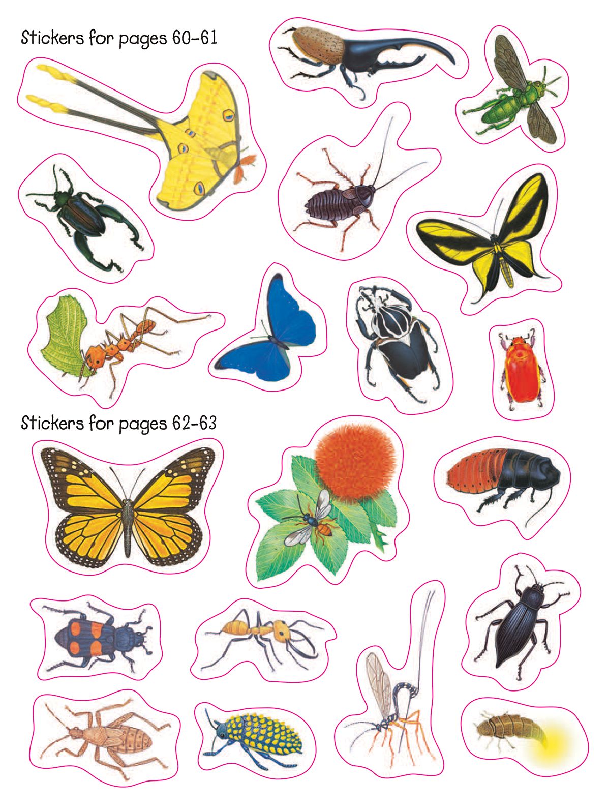 Animal Kingdom Sticker Activity Book: Dinosaurs and Bugs