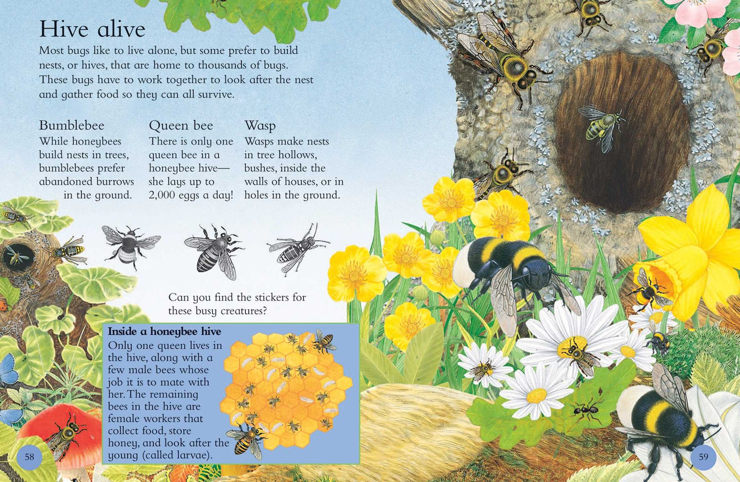 Animal Kingdom Sticker Activity Book: Dinosaurs and Bugs