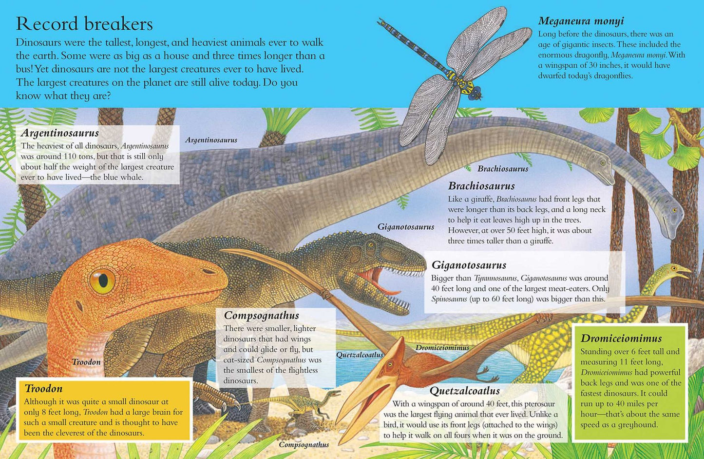 Animal Kingdom Sticker Activity Book: Dinosaurs and Bugs