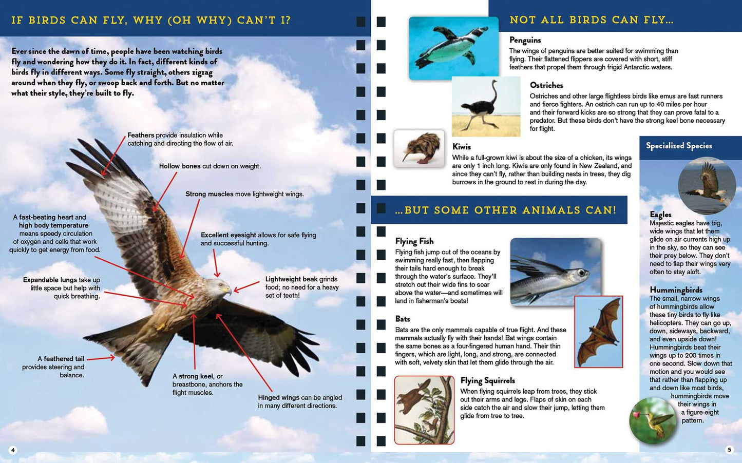 Smithsonian Discover: Flight