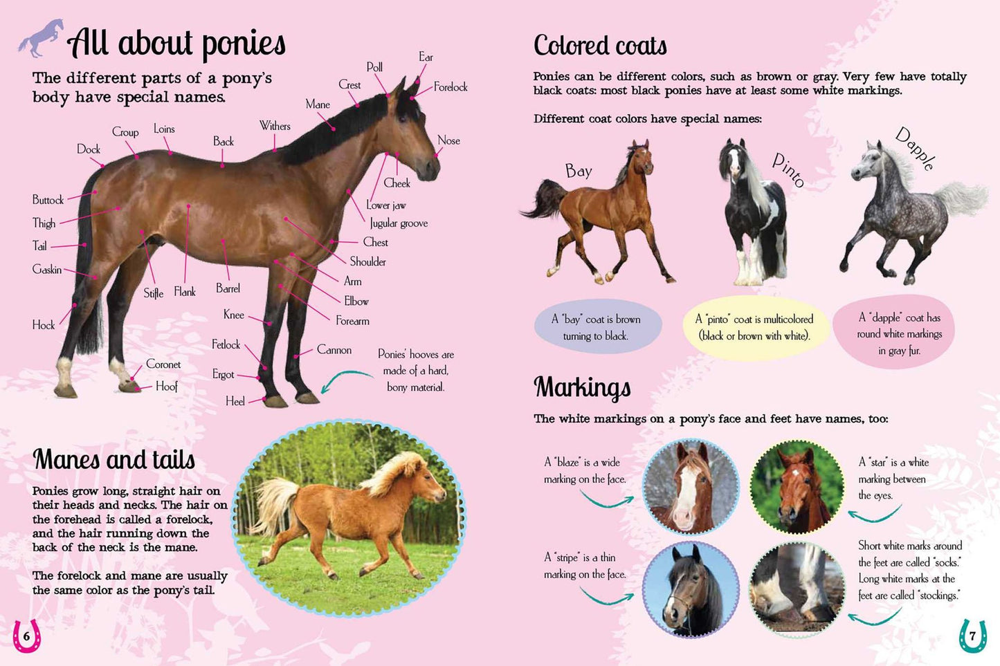 I Love Ponies