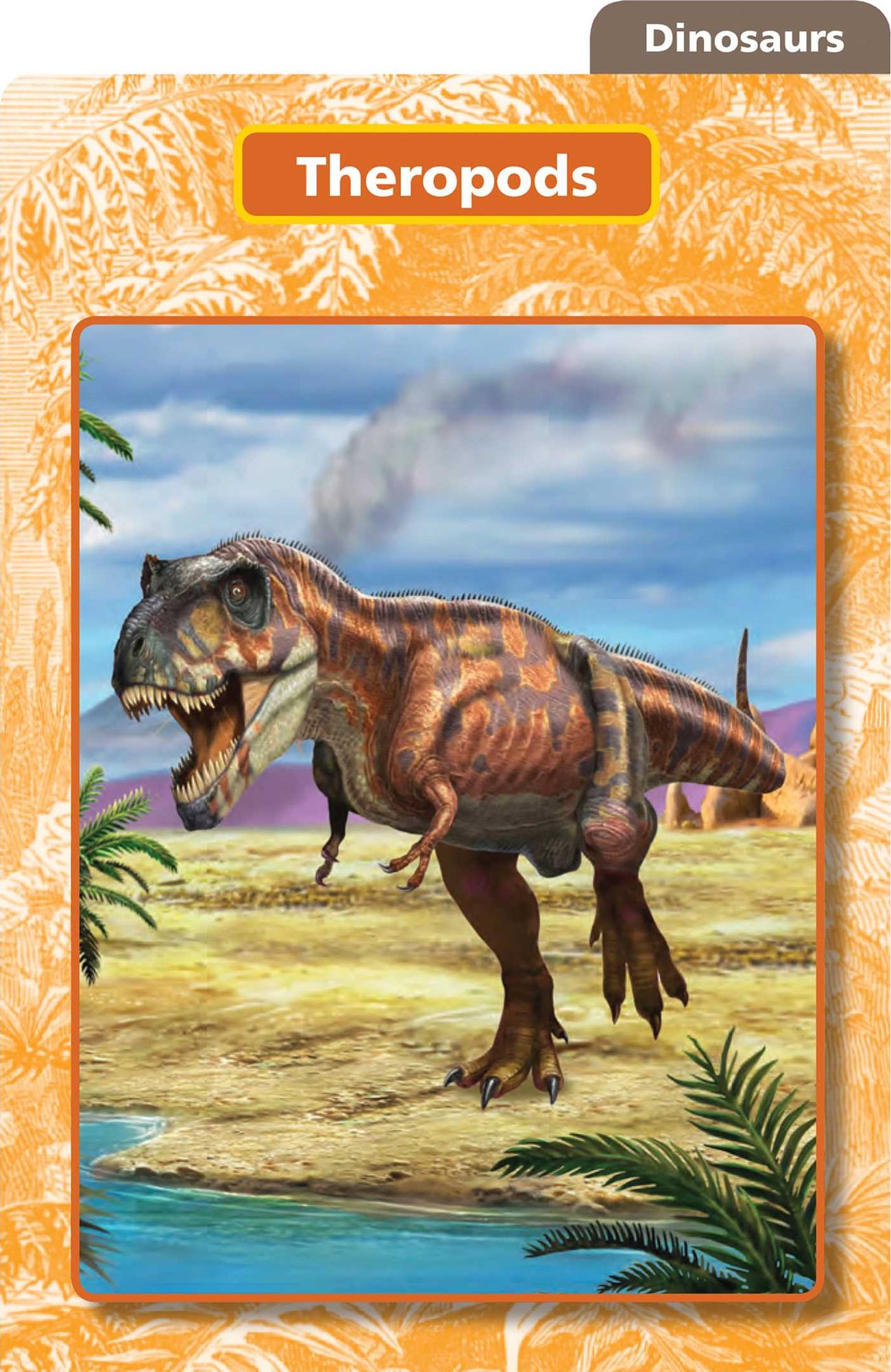 Smithsonian Everything You Need to Know: Grades 2-3