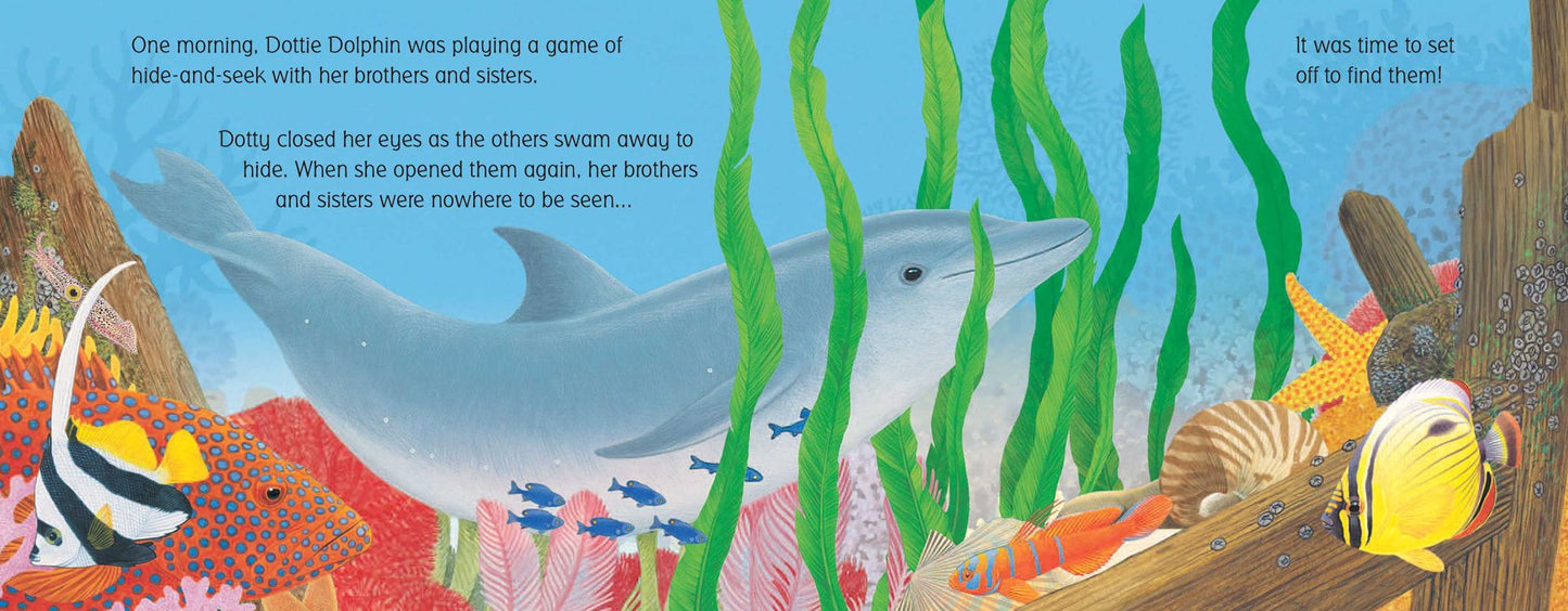 Dottie Dolphin Plays Hide-and-Seek