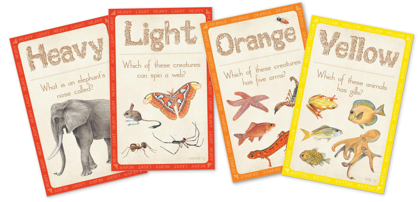 Look & Learn Activity Set: Colors & Opposites
