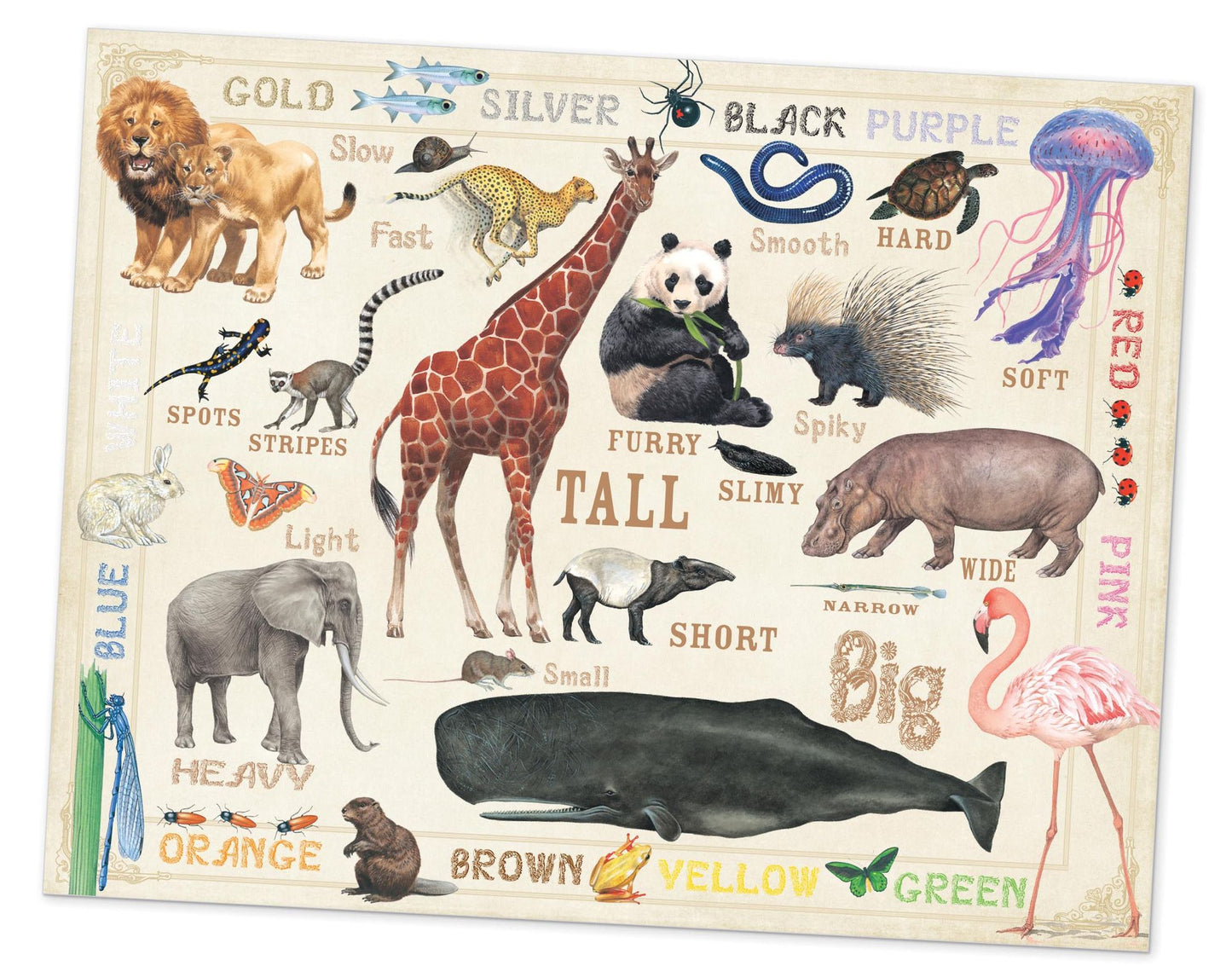 Look & Learn Activity Set: Colors & Opposites