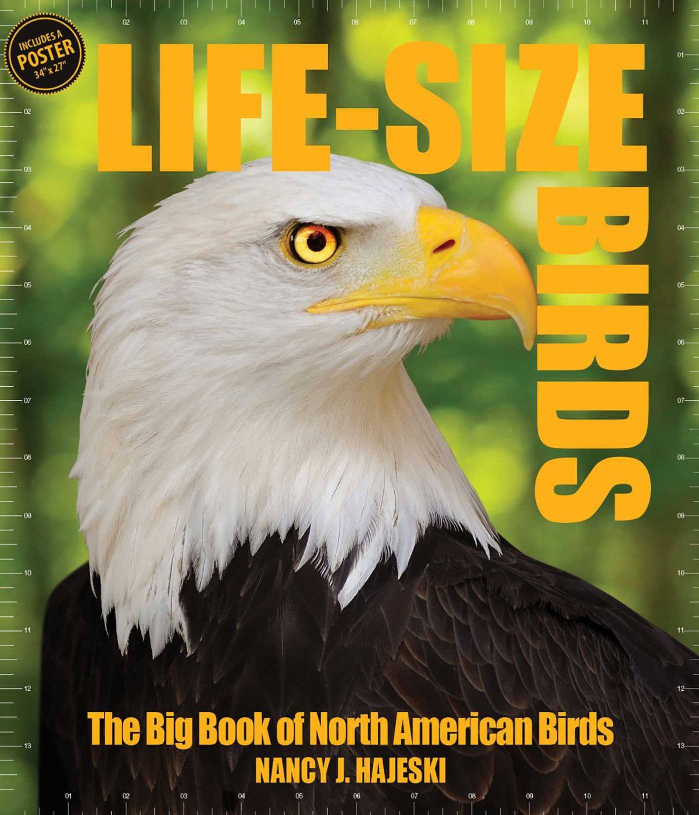 Life Size Birds