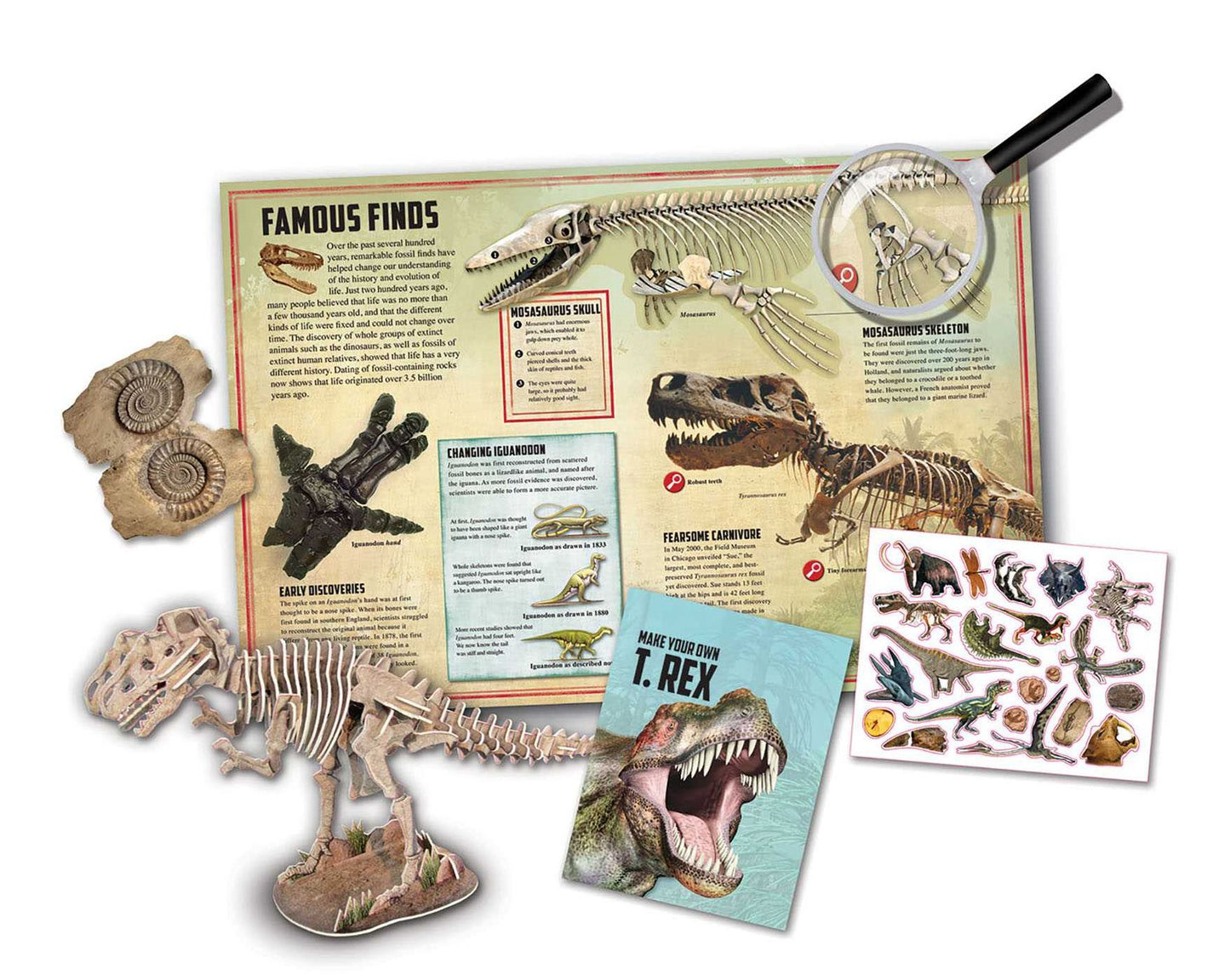 Creature Close-Up: Dinosaurs and Fossils