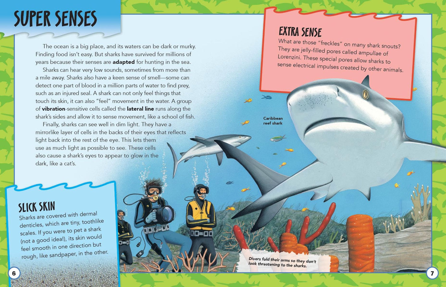 Animal Adventures: Sharks
