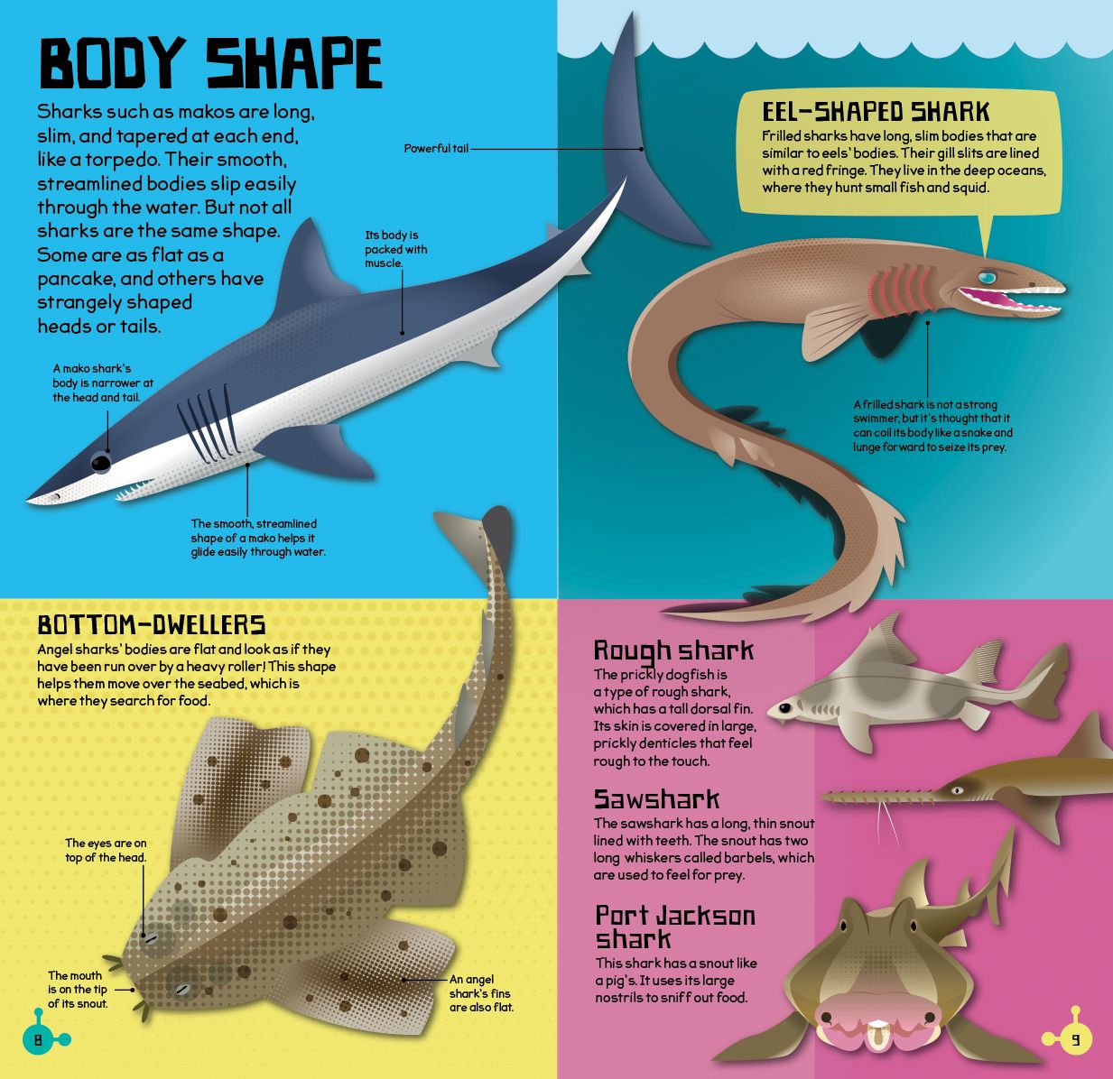 Make and Move: Shark