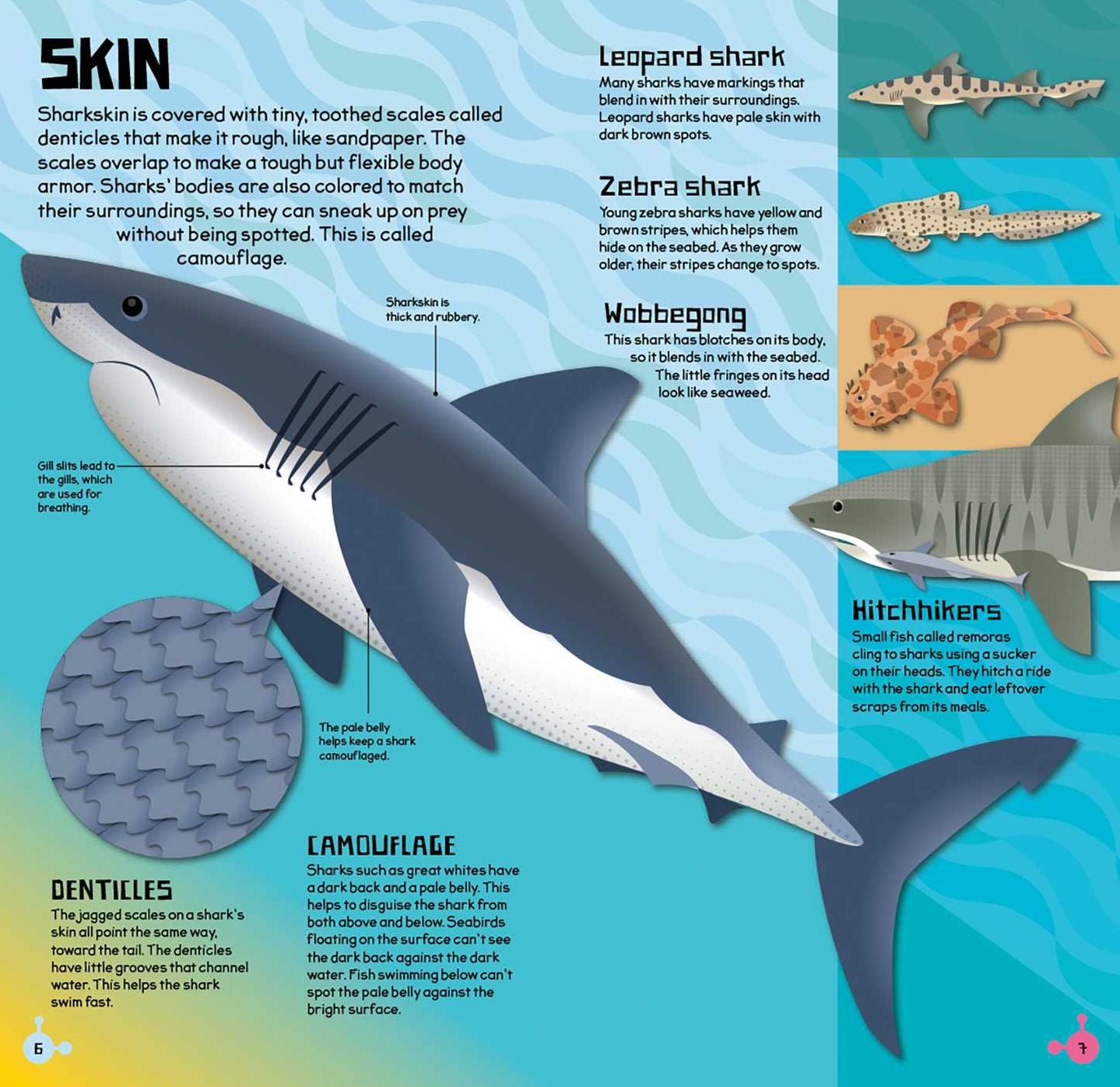 Make and Move: Shark
