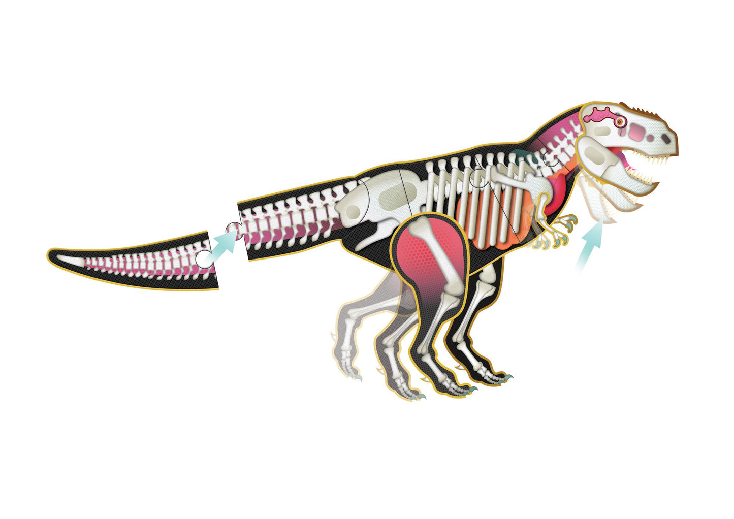Make and Move: T Rex