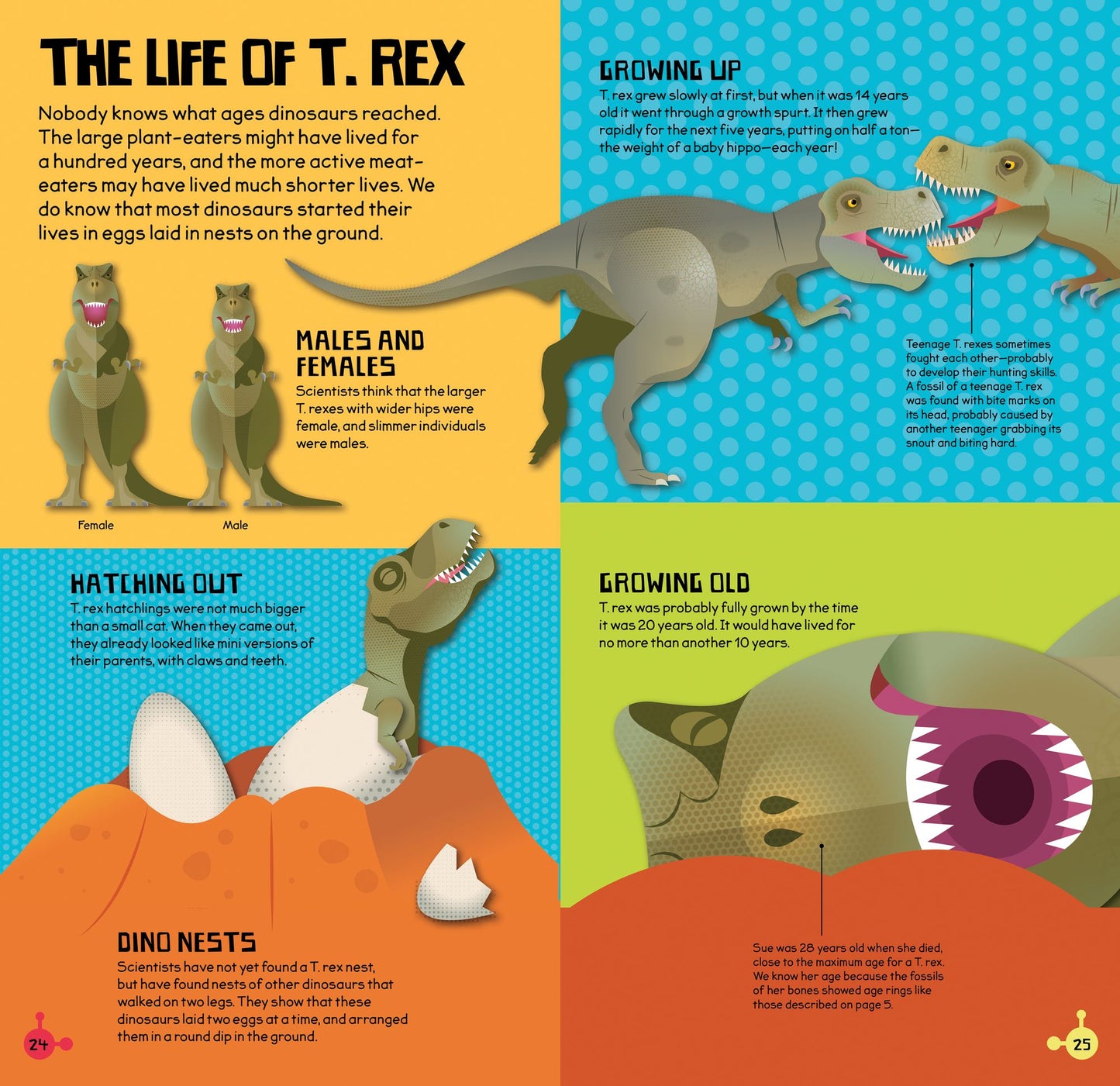 Make and Move: T Rex