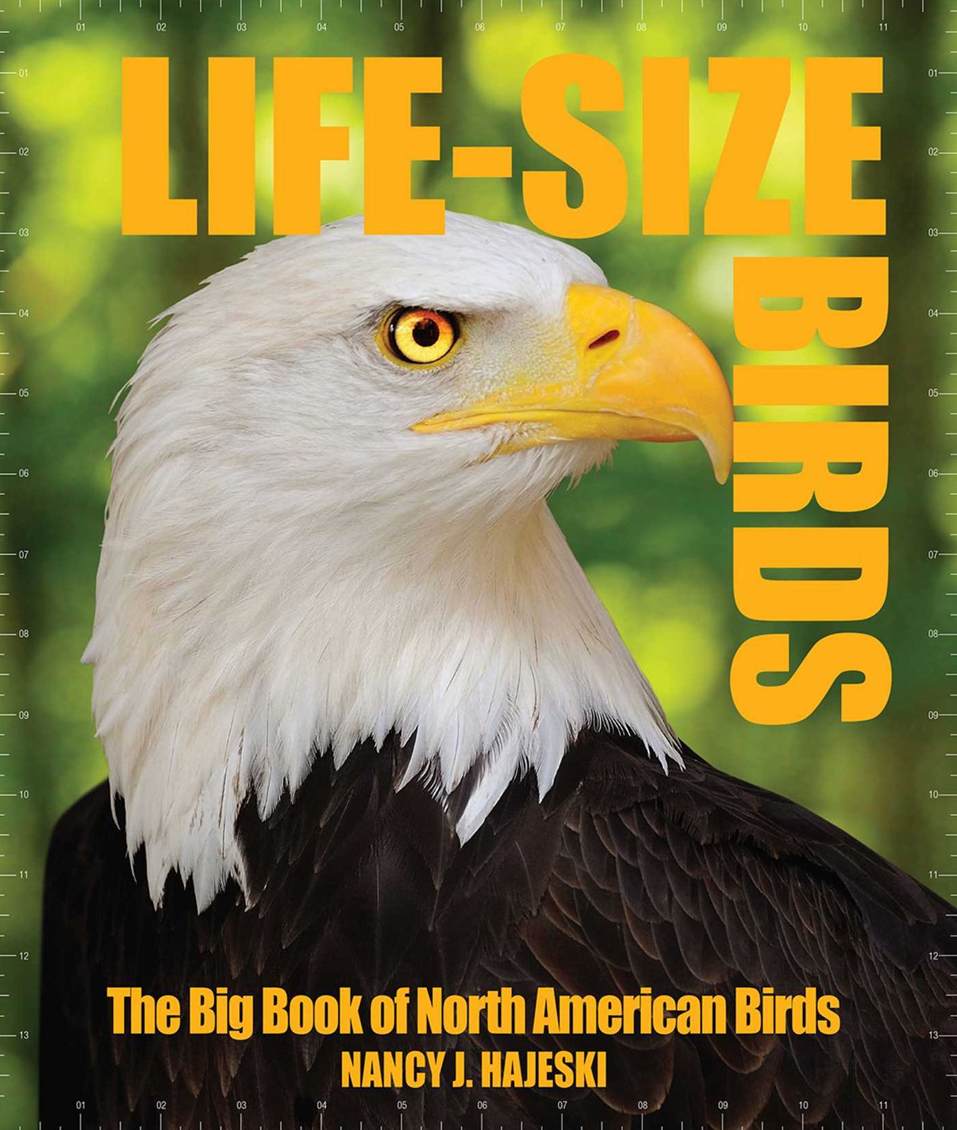 Life Size Birds