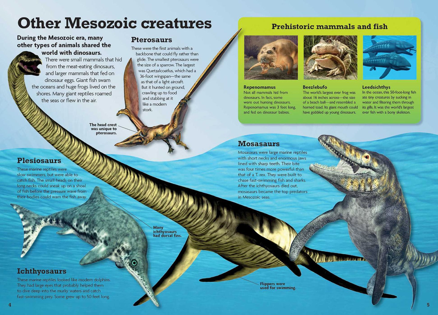 See Inside the Dinosaur: An Interactive 3-D Exploration of a Triceratops