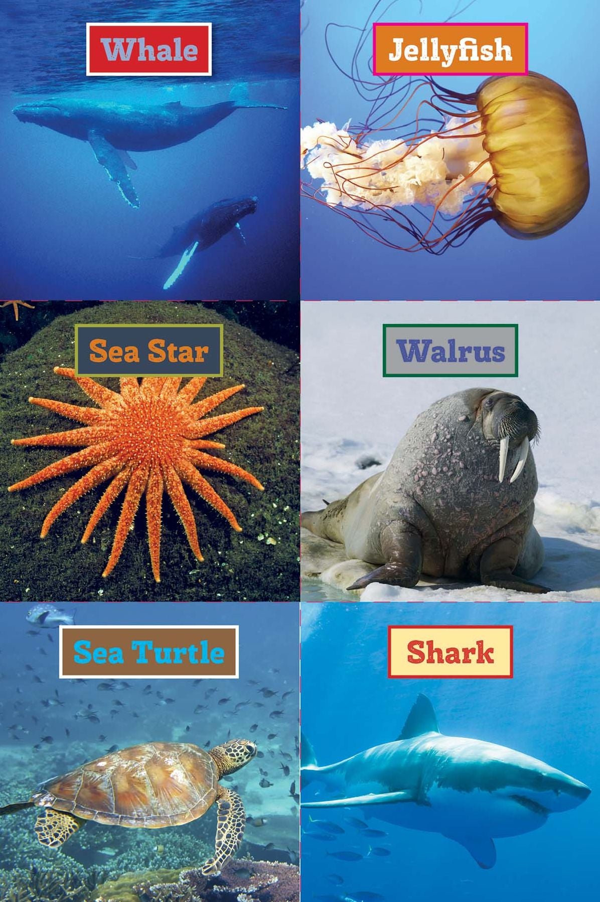 Smithsonian Readers: Read with Me! Pre-Level 1