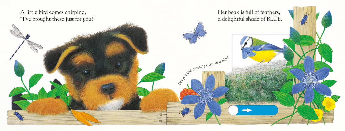 Slide and Play: Playful Puppy