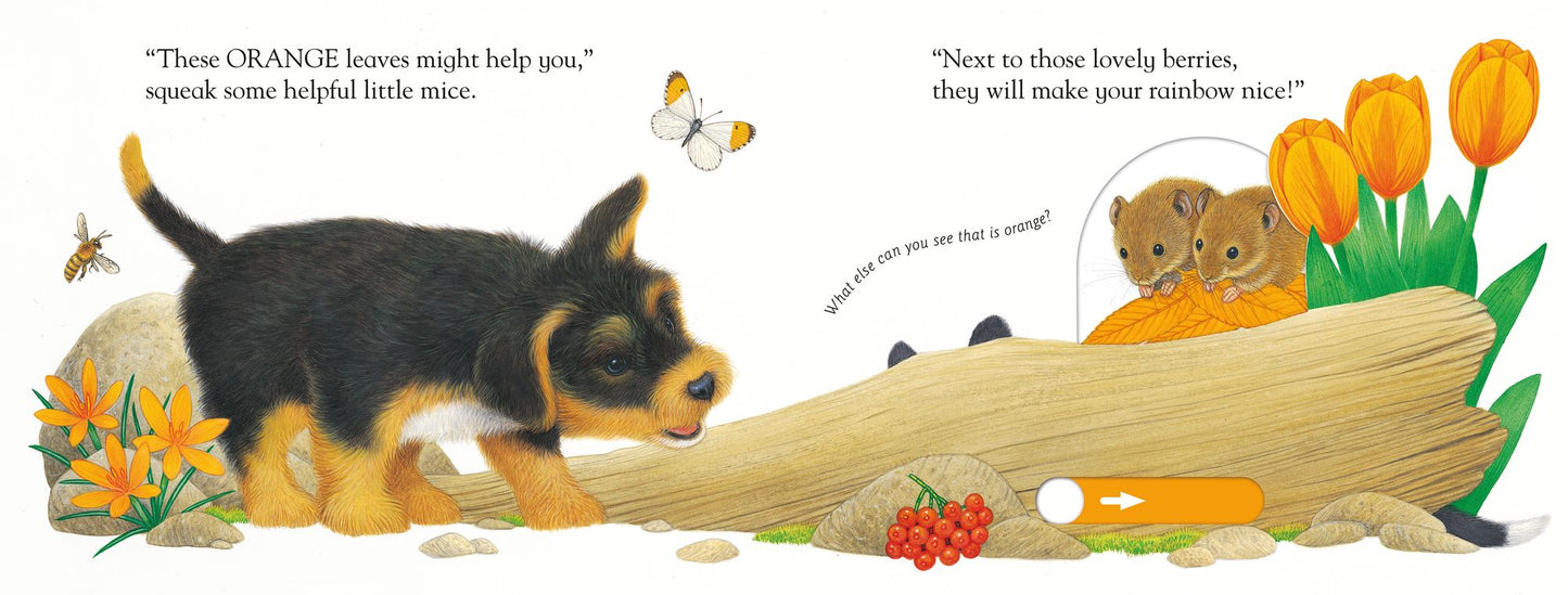 Slide and Play: Playful Puppy