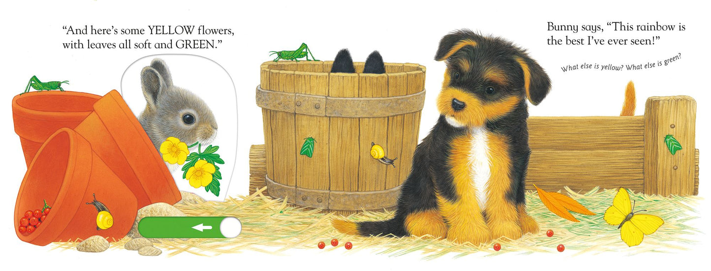 Slide and Play: Playful Puppy