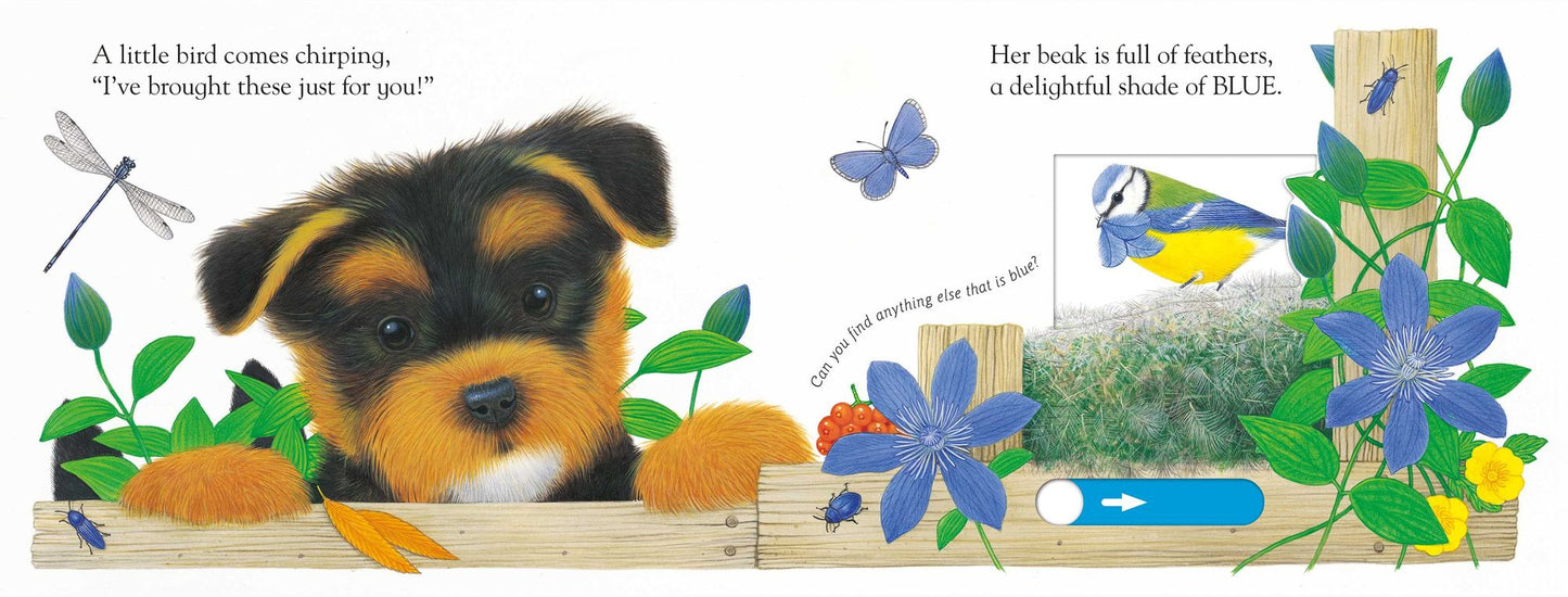 Slide and Play: Playful Puppy