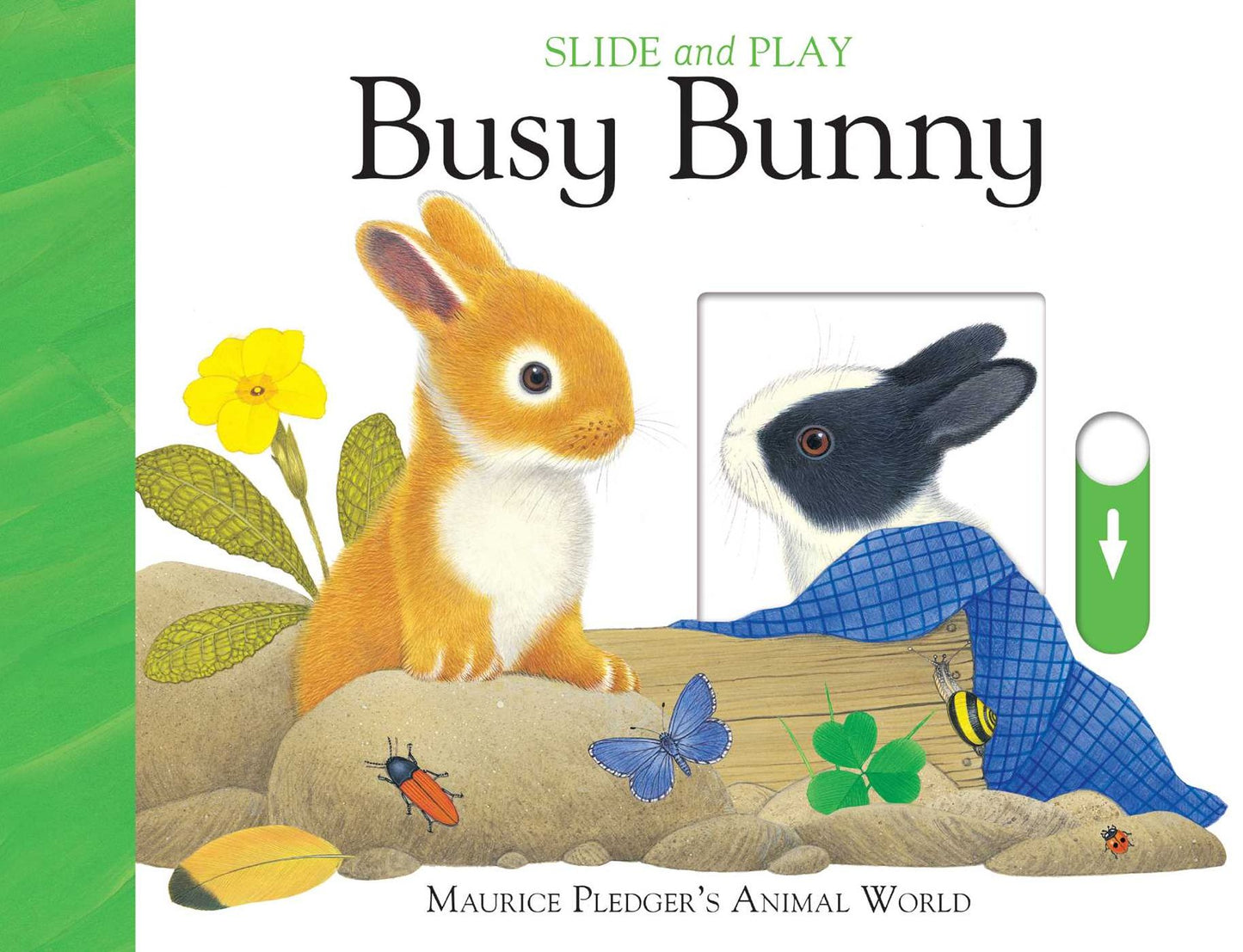 Slide and Play: Busy Bunny