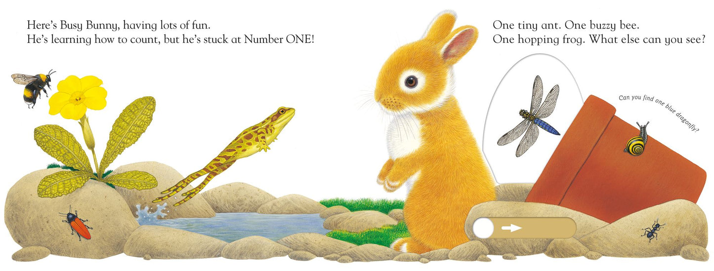 Slide and Play: Busy Bunny
