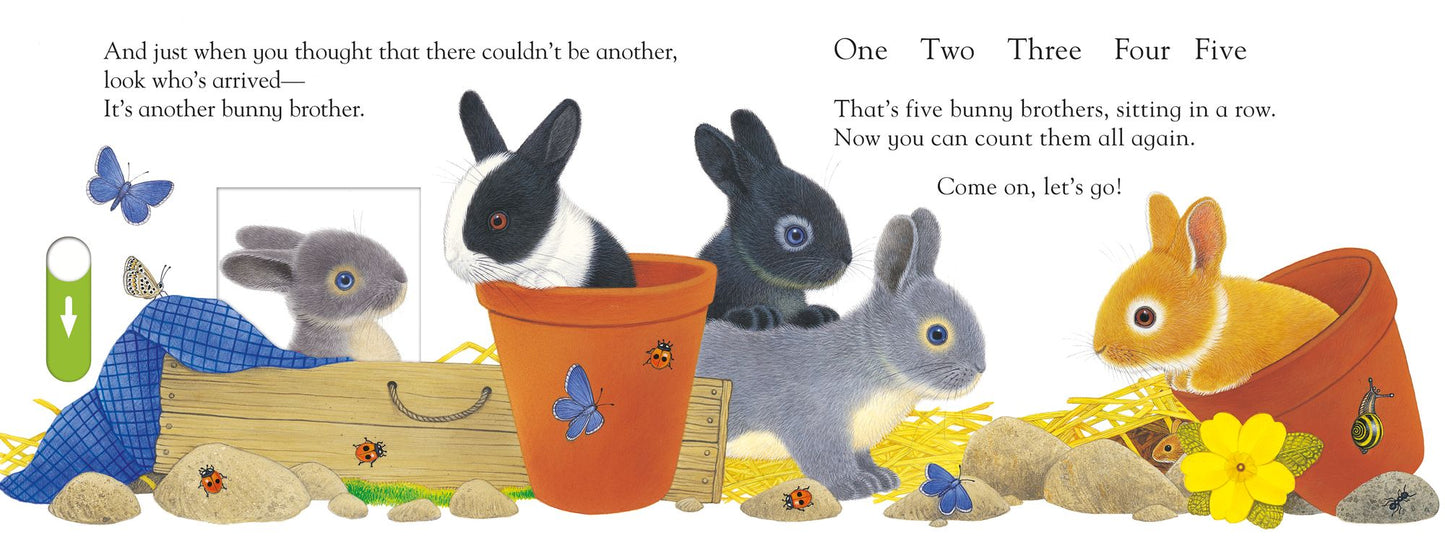 Slide and Play: Busy Bunny