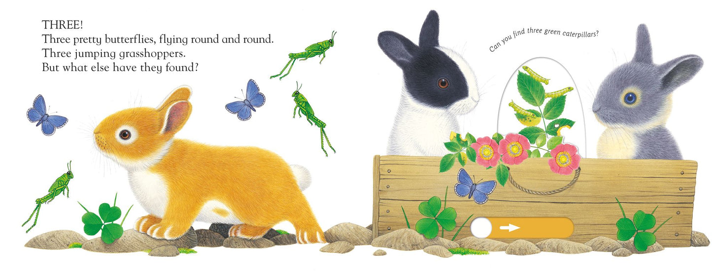 Slide and Play: Busy Bunny