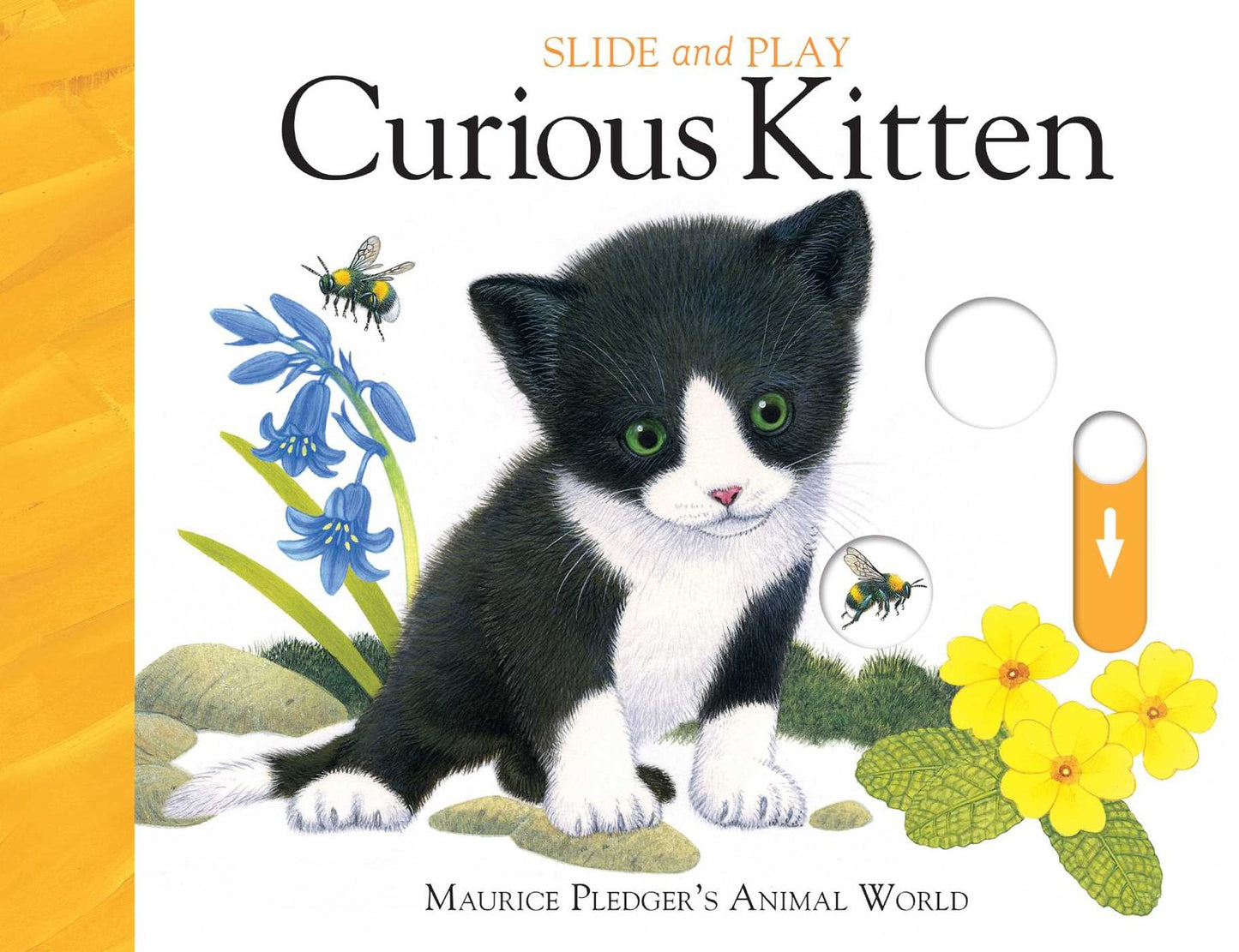 Slide and Play: Curious Kitten