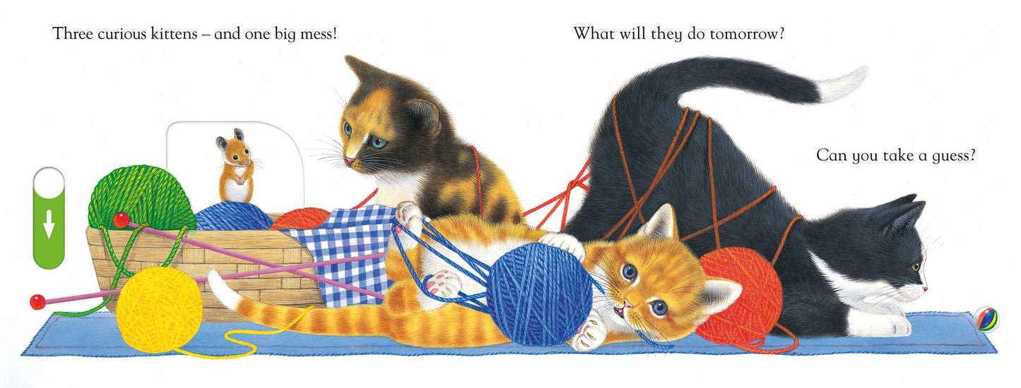 Slide and Play: Curious Kitten