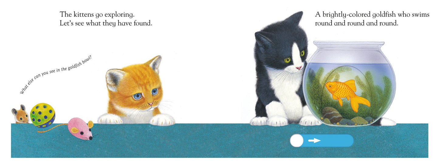 Slide and Play: Curious Kitten