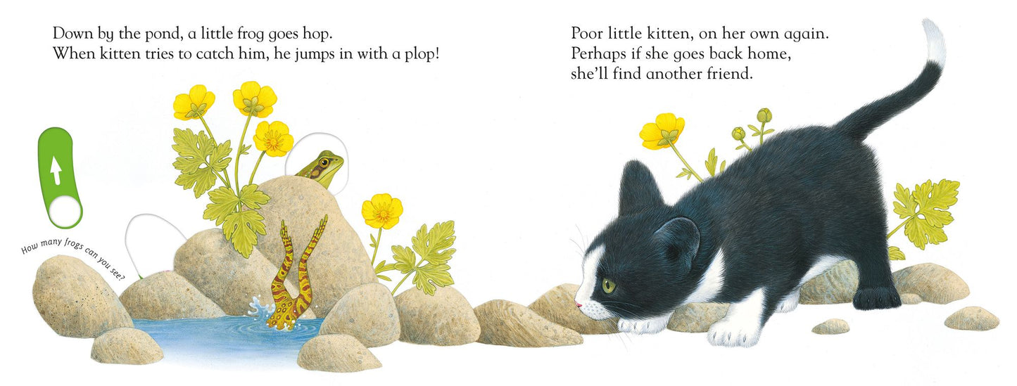 Slide and Play: Curious Kitten