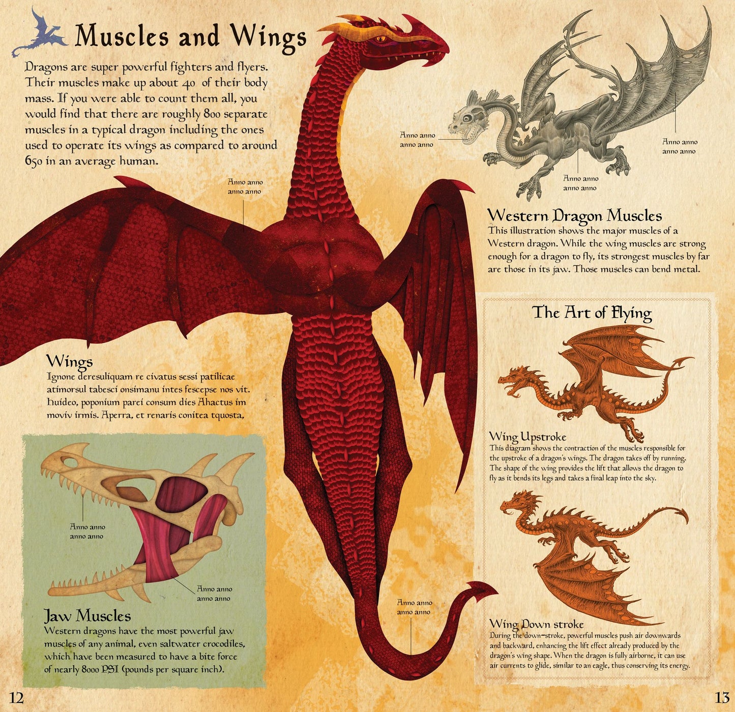 Build the Dragon