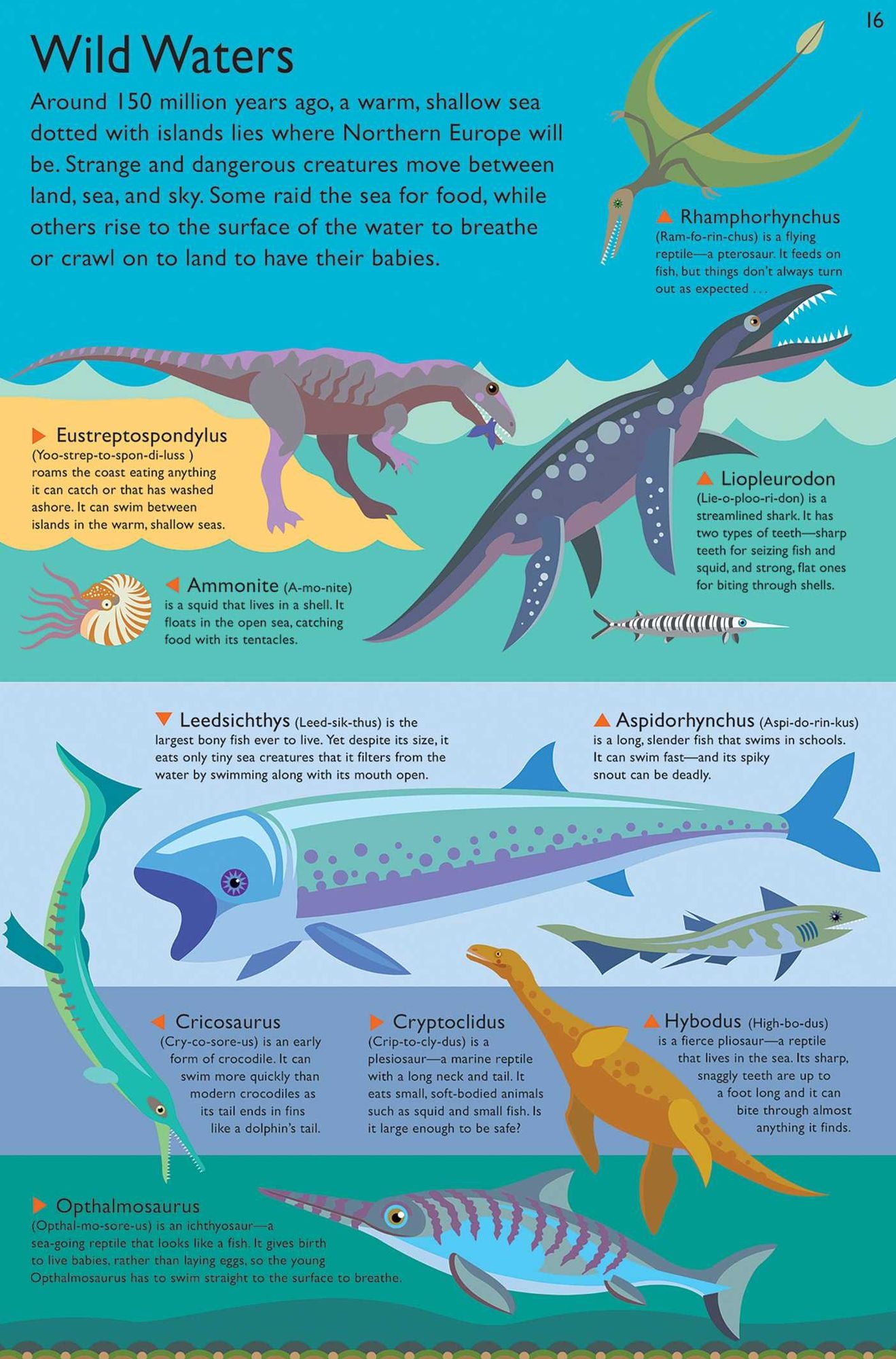 Layer by Layer: Discovering Dinosaurs
