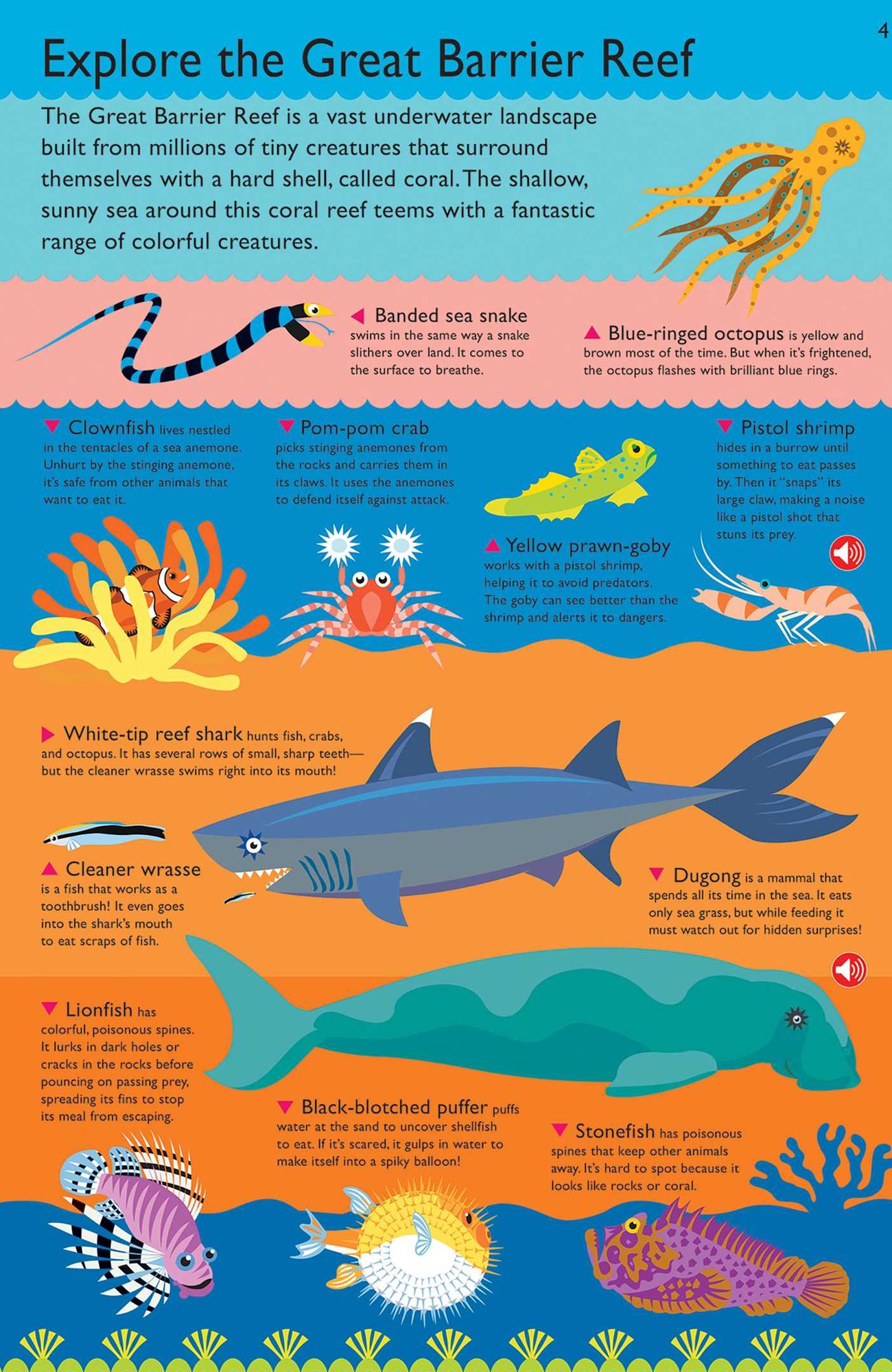 Layer by Layer: Under the Sea