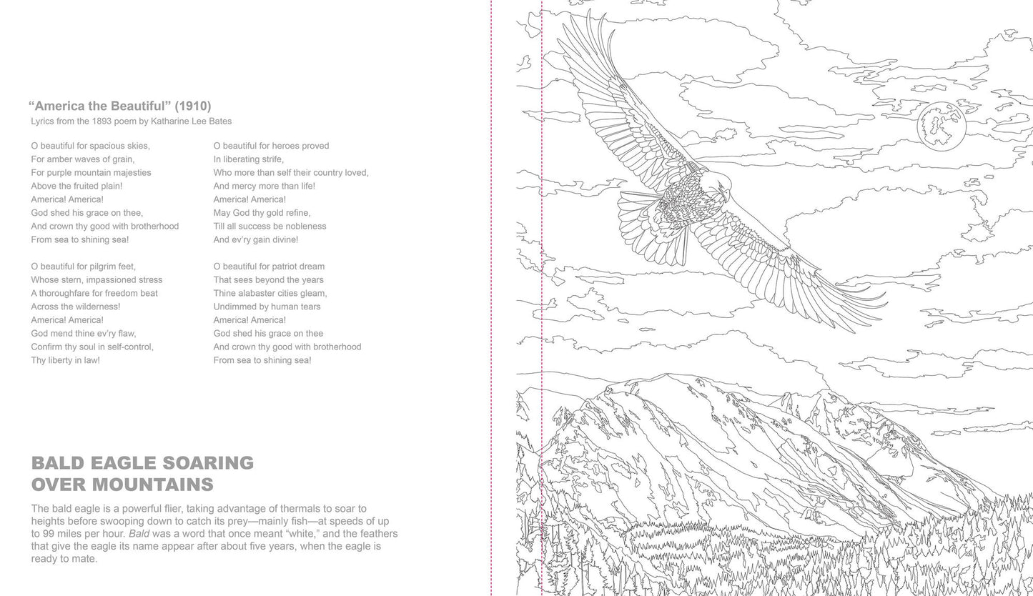 Ultimate Coloring America the Beautiful: Color from Sea to Shining Sea
