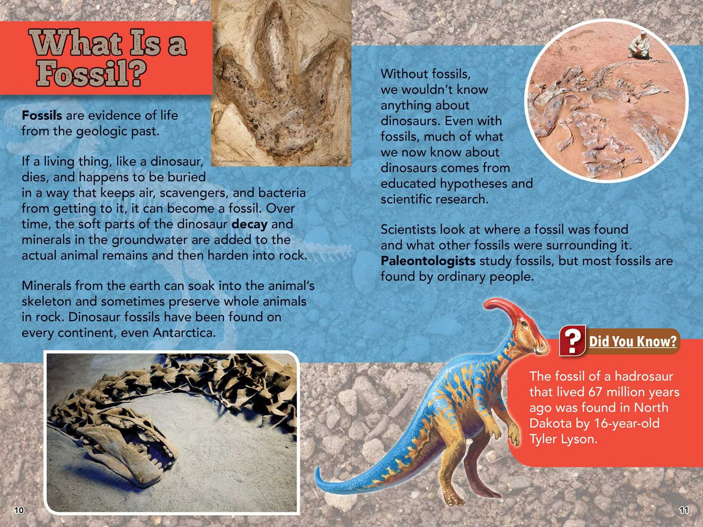 Smithsonian Readers: Ultimate Predators Level 3