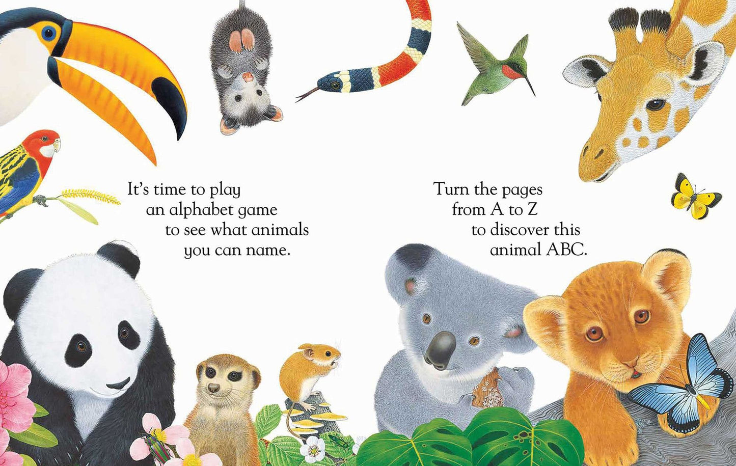 My First Animal ABC