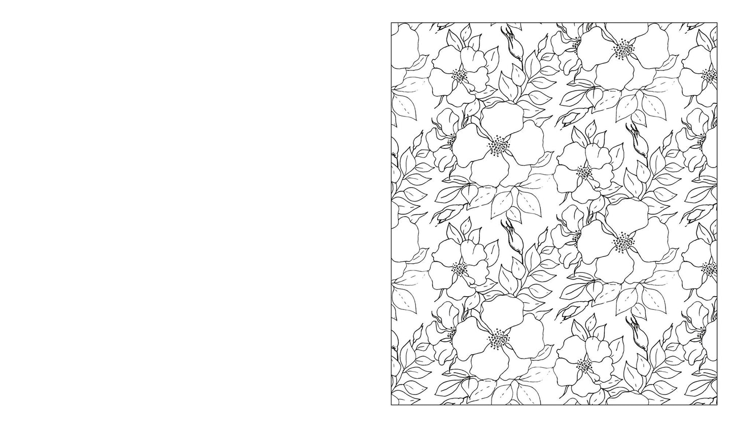 The Creative Coloring Book